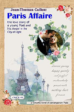 click to start reading the novel Paris Affaire